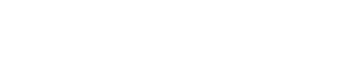 SFF - Scandinavian Fittings & Flanges logo.