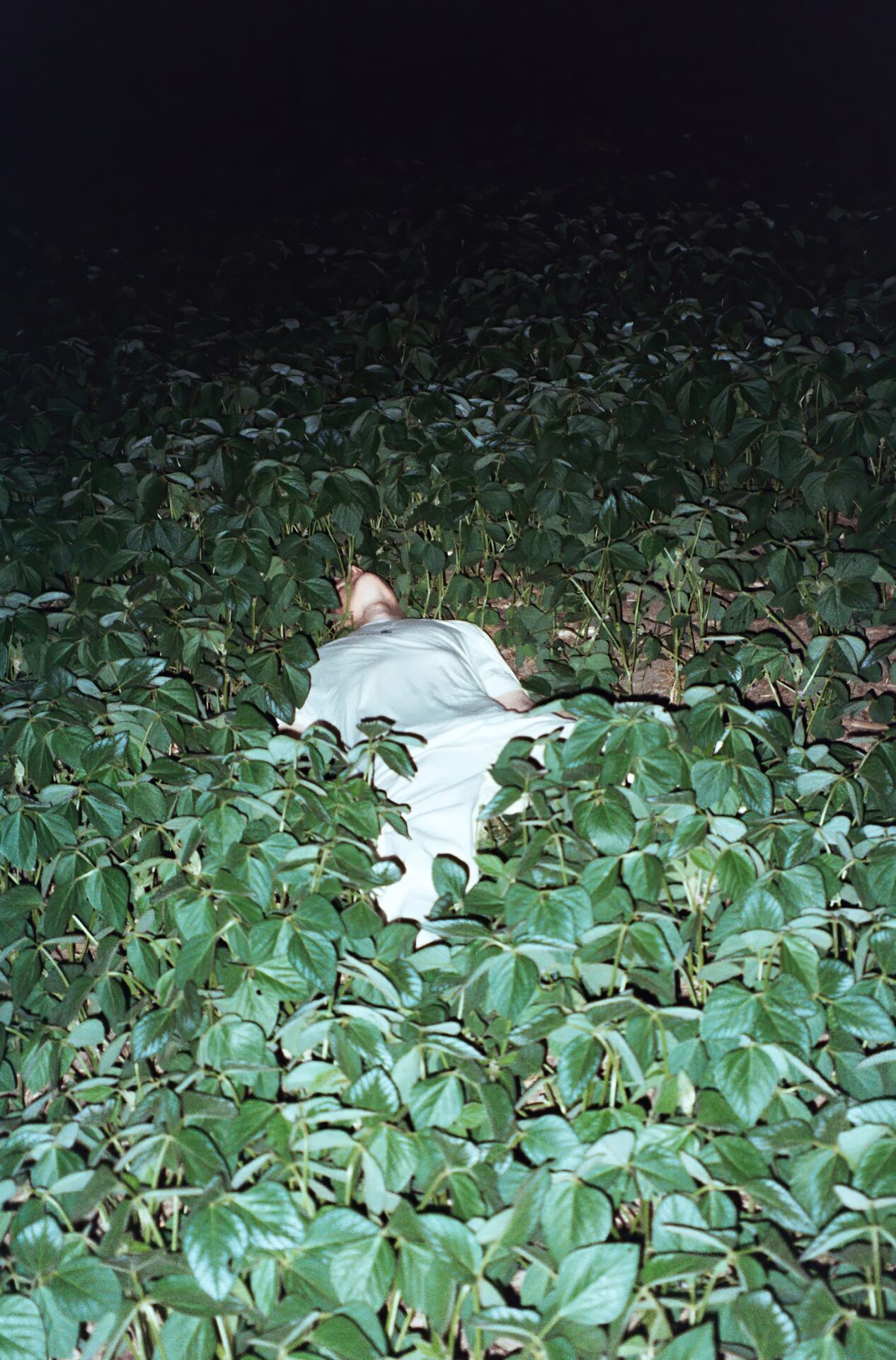 Kvinne ligger i en eng av grønne blader