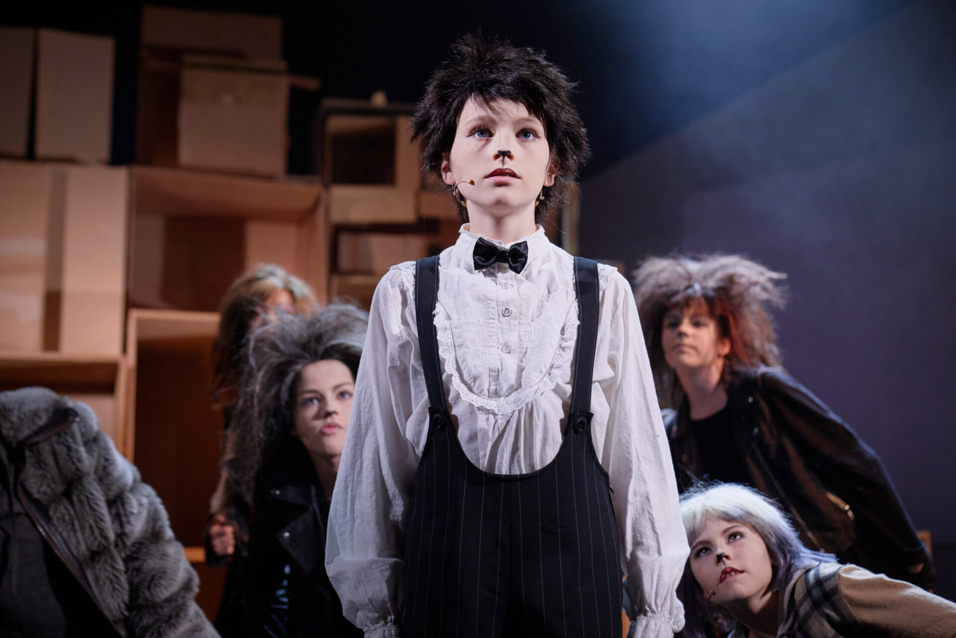 En liten katt ser ut mot publikum