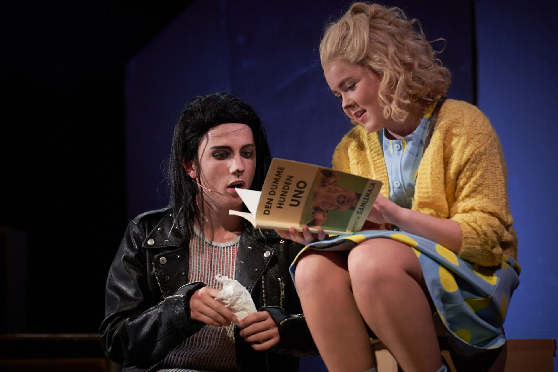 En katt og en hund leser i en bok