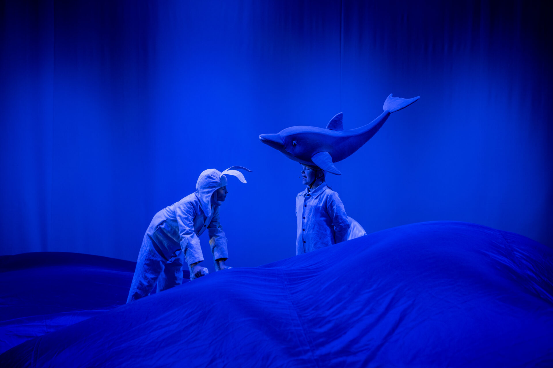 Et esel og en delfin møtes på havet