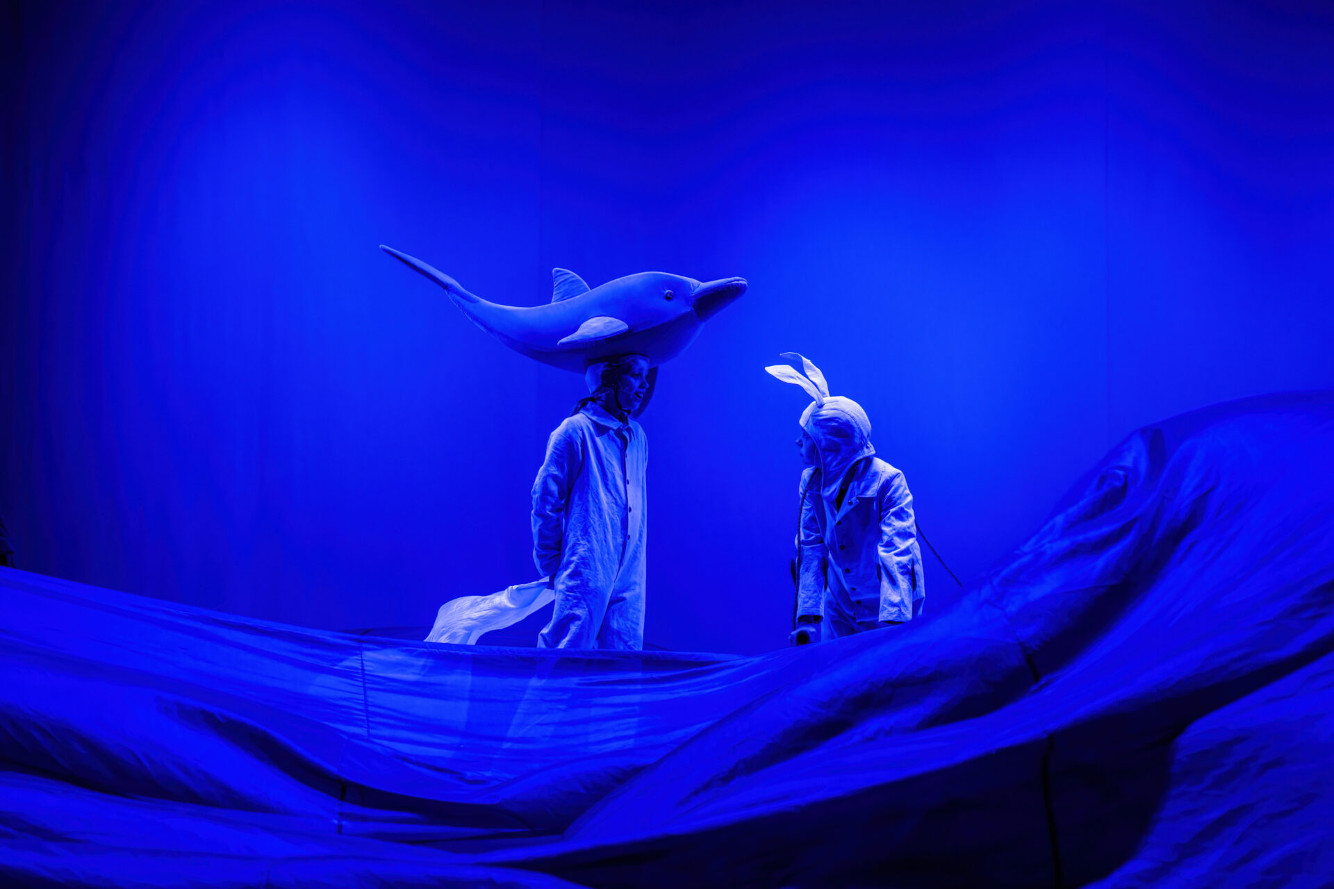 En delfin snakker med et esel