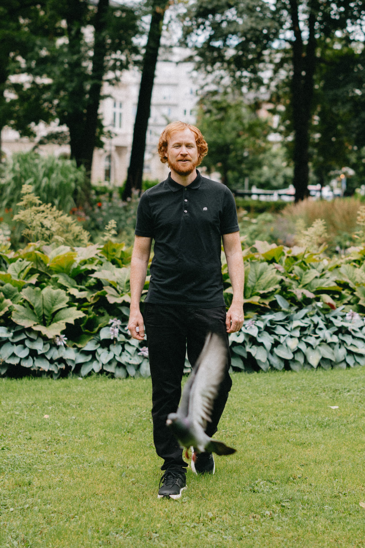 Mann står på en gressplen. I forgrunnen flyr en due.